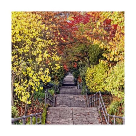 Trademark Fine Art Colby Chester 'Autumn Tunnel' Canvas Art, 14x14 WAG02966-C1414GG